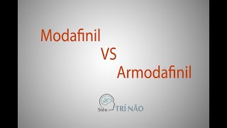 Armodafinil vs Modafinil Việt Sub [upl. by Cornwall184]