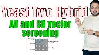 Yeast two Hybrid Y2H AD and BD vector screening [upl. by Yessej]