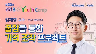 2024 경암바이오유스 캠프 꿀잠을 통한 기억 조작 프로젝트 김재경 교수KAIST 생명과학과 [upl. by Wyck]