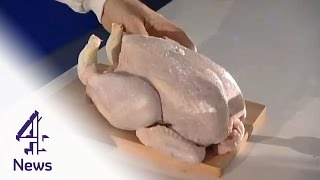 See how the Campylobacter chicken bug spreads in a kitchen  Channel 4 News [upl. by Celinda]