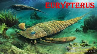 Eurypterus [upl. by Benedikta]