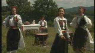 andreea ardelean nialcose ca s din bihor [upl. by Ayirp984]