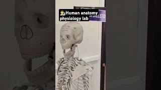 😱👨‍🔬HAP lab  Human anatomy and physiology lab shortvideo youtubeshorts shorts DRXayan [upl. by Chemaram238]