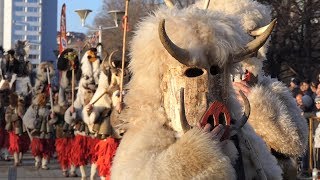 Kukeri festival Surva 2019 in Pernik [upl. by Nnainot]