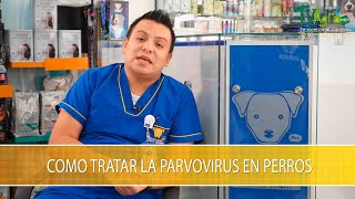 Como Tratar la Parvovirus en Perros  TvAgro por Juan Gonzalo Angel Restrepo [upl. by Ade]