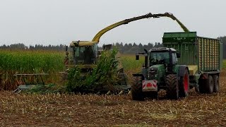 Krone BIG X 1100 bei der Maisernte 2014 [upl. by Mendel961]