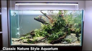 Nature Aquarium Aquascape Tutorial  Low Maintenance Home Aquascape Step by Step [upl. by Hnaht34]