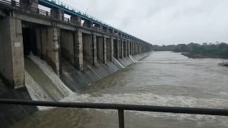 Matrikundiya dam 8 gates still open on Wednesday by Ravindra Puri [upl. by Brodench]