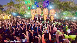 Thrikkadavoor Sivaraju amp chirakkal kalidasan  Royal Entry  Team Narahari  Anayadi Pooram 2019 [upl. by Enilec]