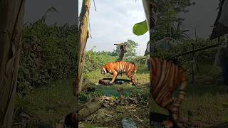 Liger attack 🦁shorts forest animals attack tiger [upl. by Anih]