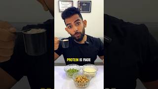 Plant protein vs Whey Protein detailed comparison wheyprotein plantprotein bestproteinpowder [upl. by Gyimah]