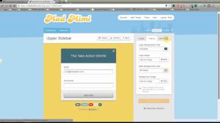 Creating an OptIn Form With Mad Mimi [upl. by Akcinat]