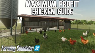 Maximum Profit Chicken Guide Farming Simulator 22 [upl. by Humberto261]