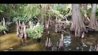 Reelfoot State Park TN [upl. by Evalyn]