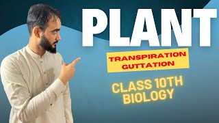 Excretion In Plants  Transpiration  Guttation  Class 10th Biology  Basharat Ali Lectures [upl. by Yelsnik]