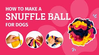 How to Make a Snuffle Ball for Dogs  Happy Paws Happy Hearts [upl. by Yelrah836]