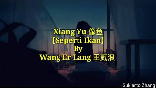 Xiang Yu 像鱼 Seperti ikan  王贰浪 Wang Er Lang amp lyricslirik [upl. by Yelnik]