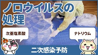 嘔吐物処理の正しい方法を学んで感染症対策をしよう｜みんなの介護求人 [upl. by Fawn]