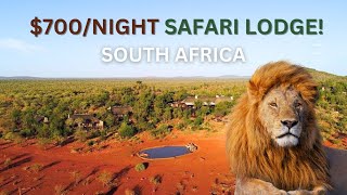 700night LUXURY SAFARI LODGE in South Africa [upl. by Comethuauc]