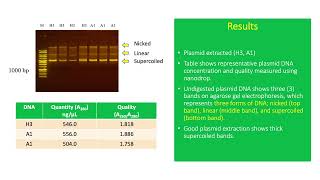 Plasmids Extrachromosomal Circular DNA used in Cloning [upl. by Halladba]