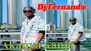 Akanya Kanje by Dj Fernando Official music Video Hit Trend News update [upl. by Aerdna]