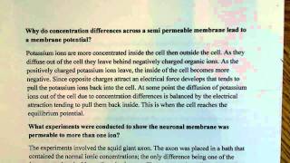 membrane potential and permeability [upl. by Carbrey]