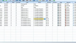 Reliability test Compute Cronbachs alpha using SPSS2023 [upl. by Lundberg]