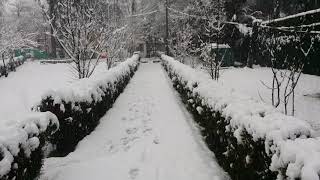 Snowfall in Abbottabad COMSATS Abbottabad February 11 2016 [upl. by Pammy957]