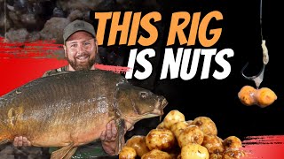 THIS BAIT amp RIG ARE THE ABSOLUTE BLLCKS  CARP FISHING TIPS  MIKE PAYNE  ONE MORE CAST [upl. by Glick]