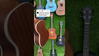 LANIKAI UKULELE 24 inch [upl. by Soulier]