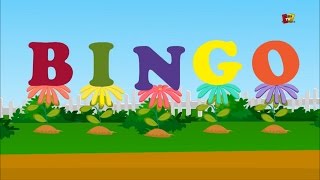 Bingo der Hund Lied  Kinderreime für Kinder  Welpen Lied für Babys  Bingo The Dog Song [upl. by Silrak158]