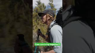 Could you do RaceToSurvive with your exspouse 👀 survival newzealand [upl. by Llezo]