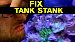 Stinky Reef Tank These 10 Fixes Will Clear the Air [upl. by Schilit]