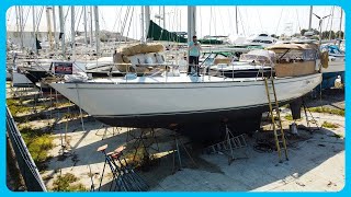 A Beautiful and Relatively AFFORDABLE 50 Bluewater Cruiser Full Tour Learning the Lines [upl. by Icul]