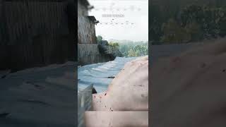 Making Use of VERTICALITY huntshowdown1896 huntshowdown gaming pvp [upl. by Annavaig]