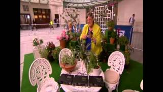 Music of the Plants  Singing Plants on The One Show with Julie Andrews [upl. by Lina]