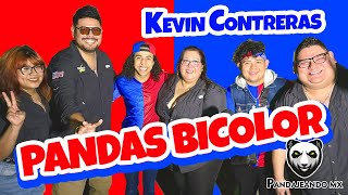 KEVYN CONTRERAS BICOLOR desde NUEVO LAREDO [upl. by Susanna]