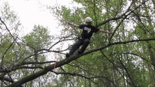 Branchwalking  Basic tree climbing techniques [upl. by Jocelyn]