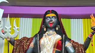 Amla ki maharani arti 2024 live  Mahakali Arti mahakali kali ambemaa aarti [upl. by Burdett]