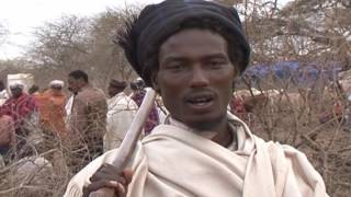 Gada system an indigenous democratic sociopolitical system of the Oromo [upl. by Chemesh]