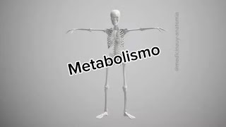 Metabolismo medicinauy [upl. by Bratton]