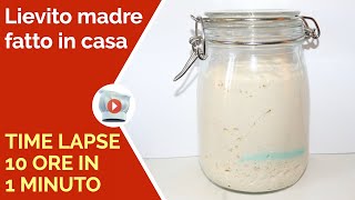 Lievito Madre Fatto in Casa  Time Lapse 10 Ore in 1 Minuto  Ep 4 [upl. by Sirromaj]