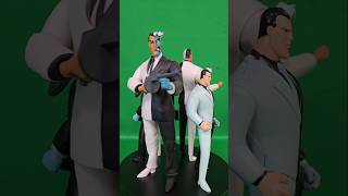 Batman animated series Twoface figures DC collectibles direct kenner new batman adventures [upl. by Ettenel527]