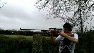 Shooting Webley Marksman Air Rifle [upl. by Dnalyk809]