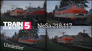 Umleiterverkehr im Niddertal  BR218 117  TSW5 [upl. by Sassan]