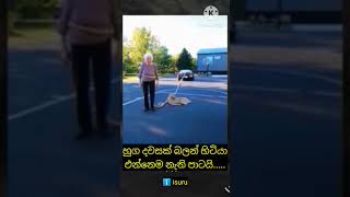 Funny Granny😆 trending comedy shortvideo funny video shorts short shortsvideo shortsfeed v [upl. by Nashbar856]