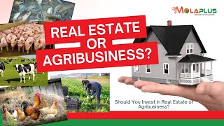 Is It Worth It To Venture Into Real Estate Or Agribusiness [upl. by Osterhus]