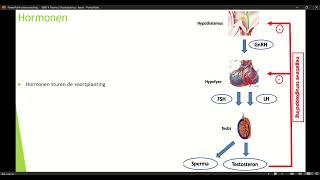 Klas 4 VWO Thema 2 Voortplanting amp seksualiteit basisstof 3 Hormonen deel 2 [upl. by Anniahs]