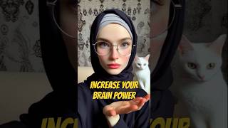 INCREASE YOUR BRAIN POWER  mekorama [upl. by Attennyl]