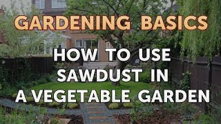 How to Use Sawdust in a Vegetable Garden [upl. by Pate53]